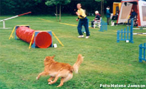 Sandra och Wille tävlar i agility