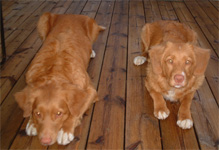 Tova och Anki