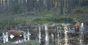 Bild:Anki och Tova