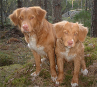 Bild: Tova och Anki