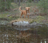 Bild:Tova