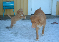 Anki och Tova feb 2005