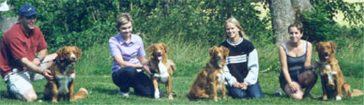Peter och Chiwas, Sandra och Aila, Johanna och Ramses, Malin och Ika