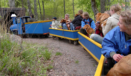 Bild: furuvik05b.jpg