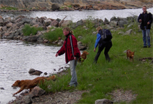 furuvik05f.jpg