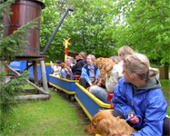 furuvik05r.jpg