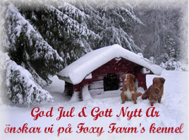 Bild: julkort07.jpg