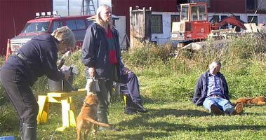 Nina, "Totte", Kicki, Birger och "Kess"
