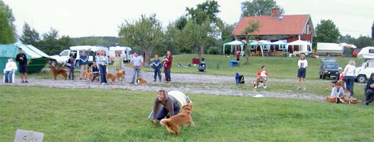 lek2003464.jpg
