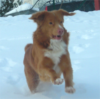 Malo 070205