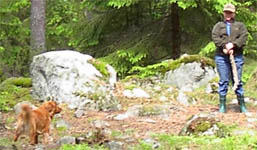 mh200506b.jpg