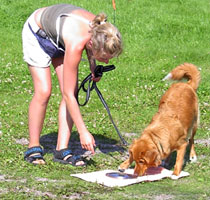 Bild: kansinhund001.jpg