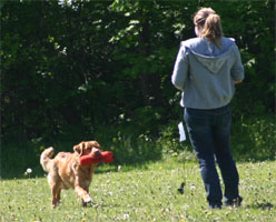 pilsbo07dagenp.jpg