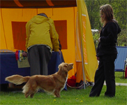 skoklosterv05a.jpg