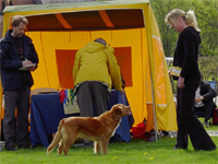 skoklosterv05b.jpg