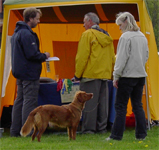 skoklosterv05d.jpg
