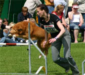 sm2005a.jpg