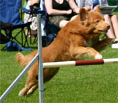 sm2005b.jpg