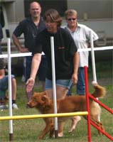 tollarspec06agility2.jpg