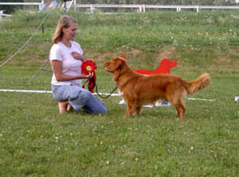 tollarspec2003041.jpg