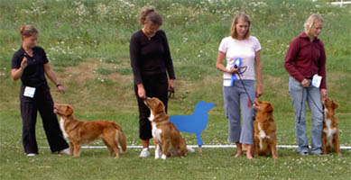 Bild: tollarspec2003043.jpg