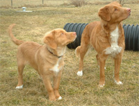 Tova och Anki.