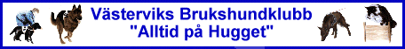 vbkbanner1.gif