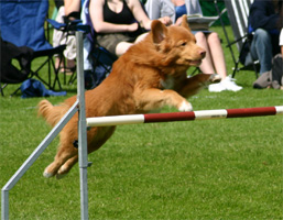 Bild: wille.sm2005g.jpg