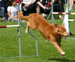 Bild: wille.sm2005h.jpg