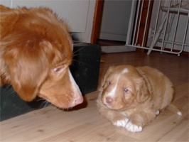 xman070125a.jpg