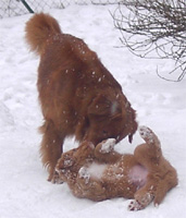 xman070220j.jpg