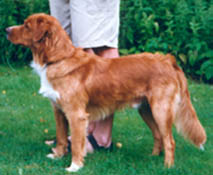 aslan