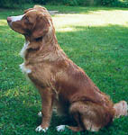  barolo