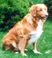 beverley