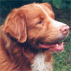 bilbo