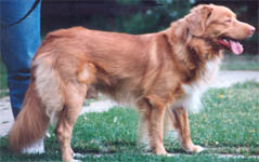  charlie