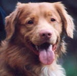  charlie