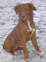 Donna dec 2002