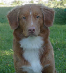 Bild: figo2004.jpg