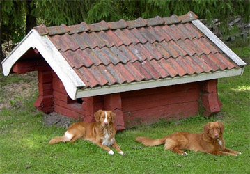 foxyfarmskennel20040708.jpg