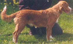 furix