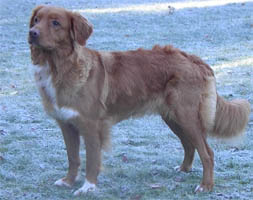 Ika oktober 2002