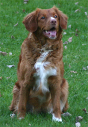 Bild: Kess våren 2005