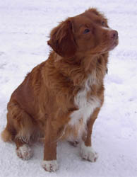 Bild:Kess mars 2006