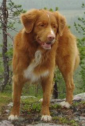 Bild: leo2004.jpg