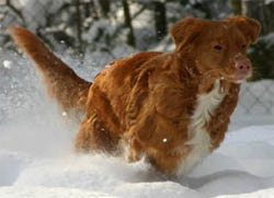 Bild: Lexie feb 2005