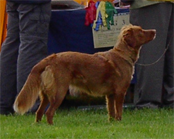 Bild: Liza