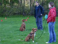Bild: lydkurs2005f.jpg