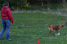 Bild: lydkurs2005g.jpg