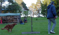 lydkurs2005n.jpg